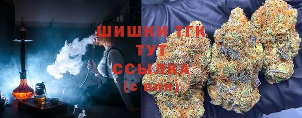 ГАЛЛЮЦИНОГЕННЫЕ ГРИБЫ Новозыбков